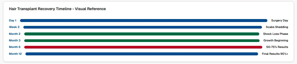 Hair Transplant Recovery Timeline - Visual Reference