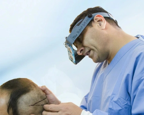 Hair Transplant for Recipients with Grey Hair